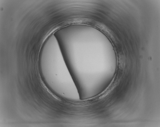 X0000076050794200609220908