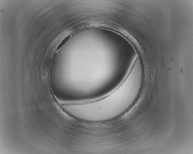 X0000076050801200609220908