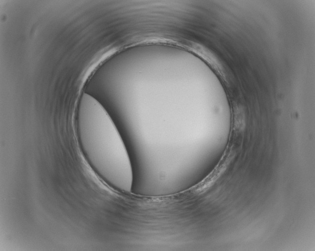 X0000076050806200609220908