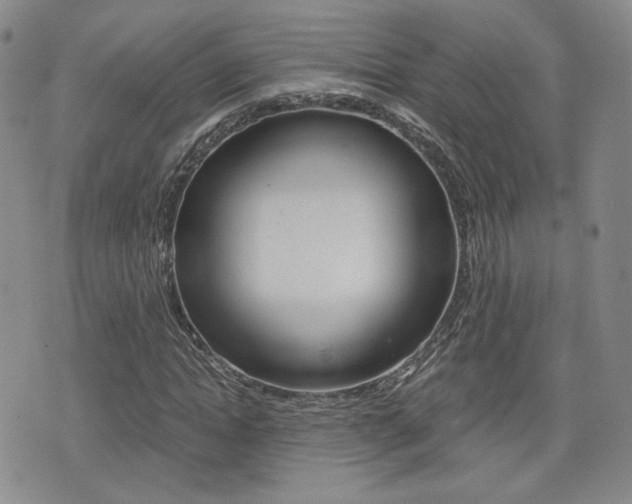 X0000076050822200609220907