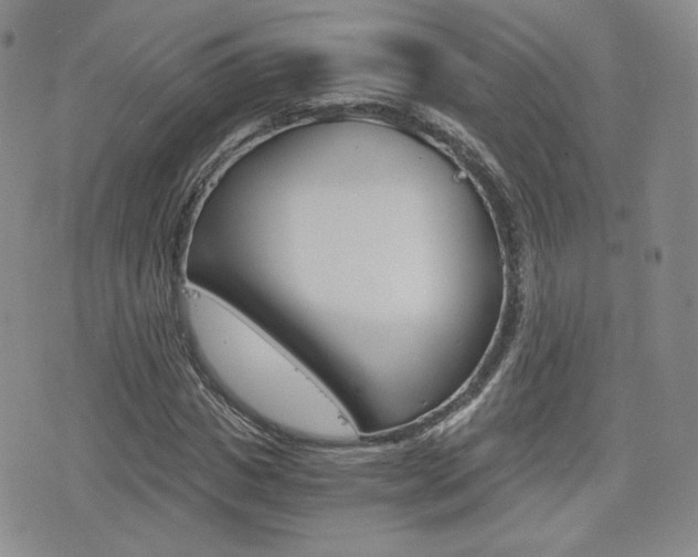 X0000076050825200609220907