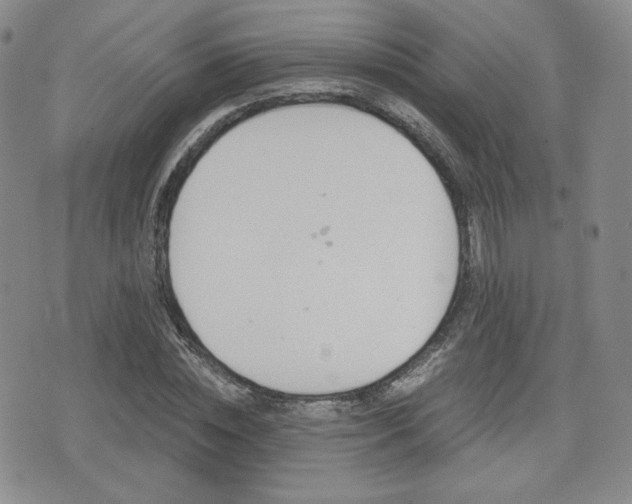 X0000076050828200609220907