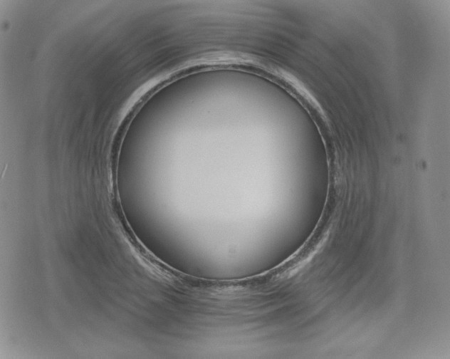 X0000076050837200609220907