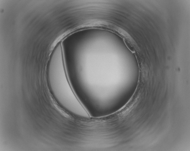 X0000076050842200609220908
