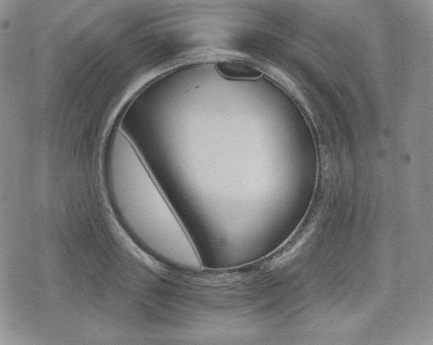 X0000076050843200609220908
