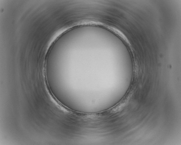 X0000076050847200609220908