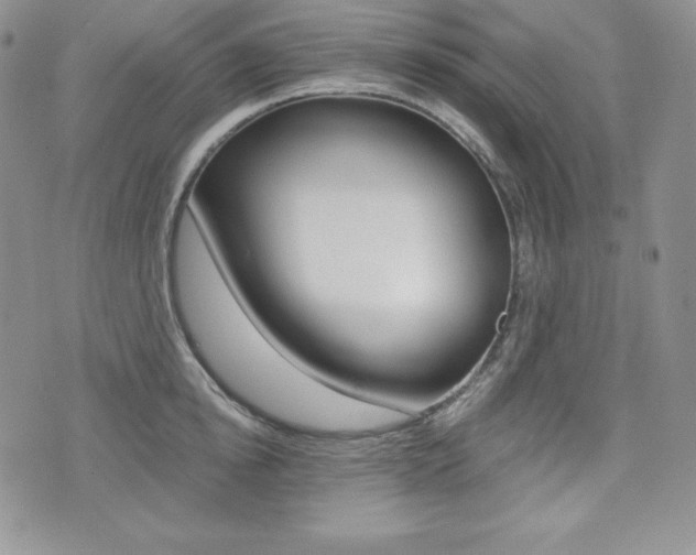 X0000076050854200609220908