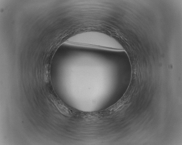 X0000076050868200609220907