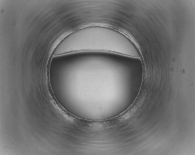 X0000076050898200609220907