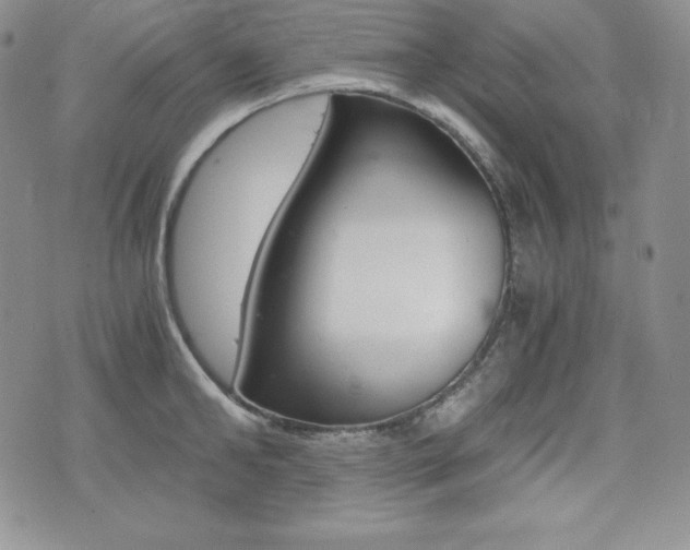 X0000076050902200609220906