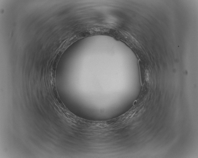 X0000076050915200609220906