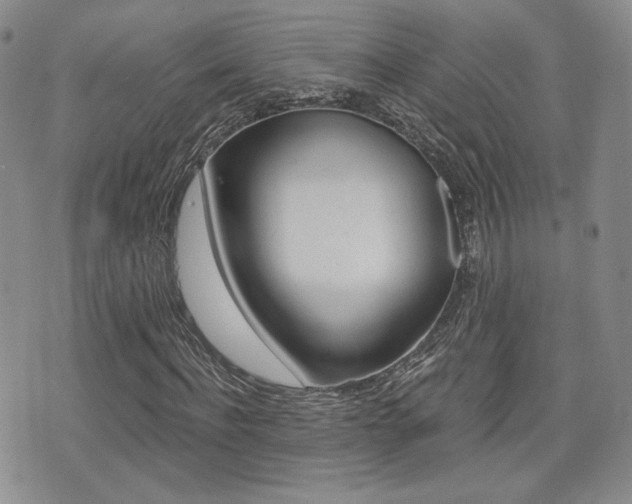 X0000076050916200609220906