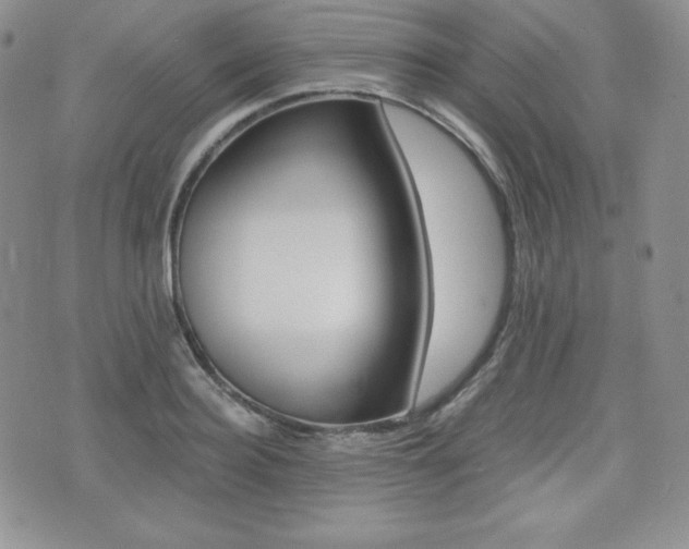 X0000076050940200609220906
