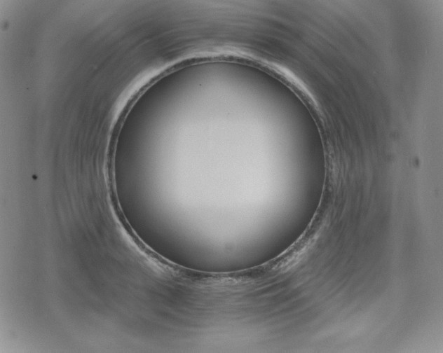 X0000076050943200609220906