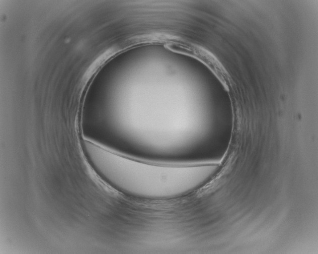 X0000076050946200609220906