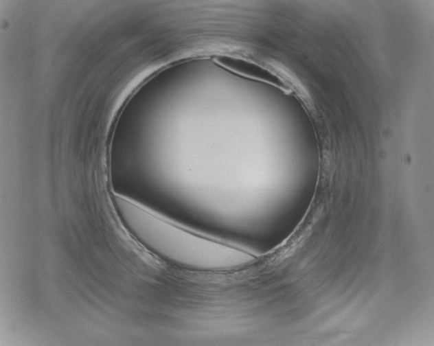 X0000076050948200609220906