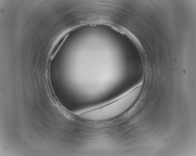 X0000076050956200609220906