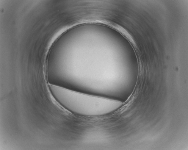 X0000076050958200609220906