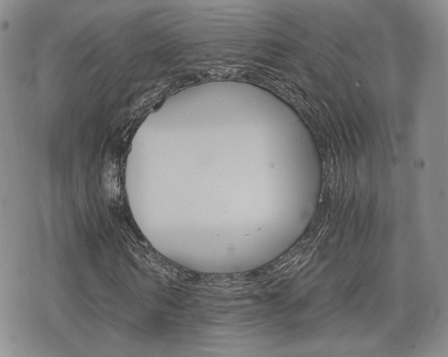 X0000076050962200609220906