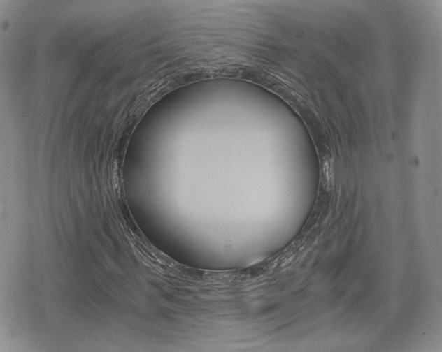 X0000076050963200609220905