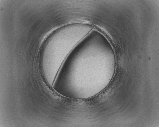 X0000076050971200609220905