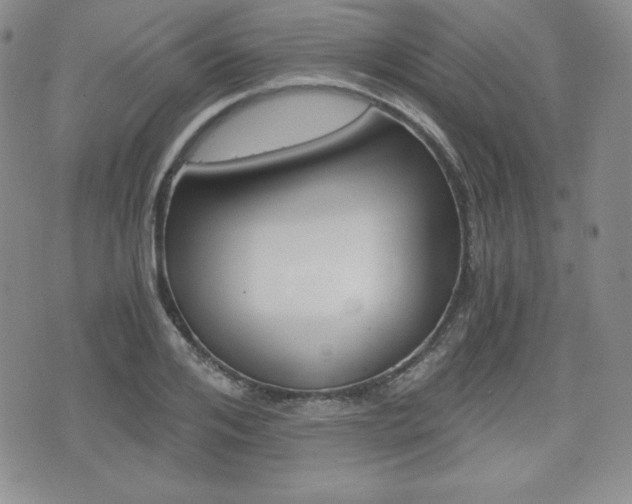 X0000076050984200609220905