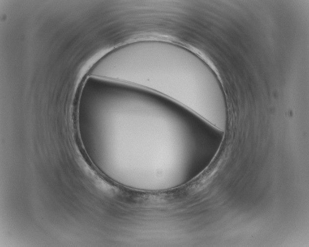 X0000076050995200609220905