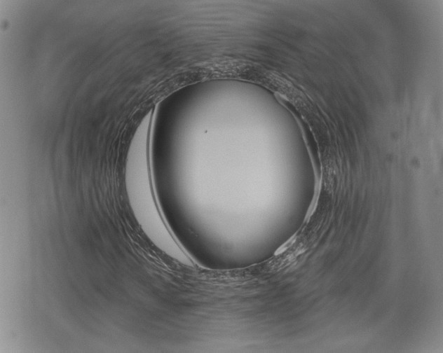 X0000076051010200609220904