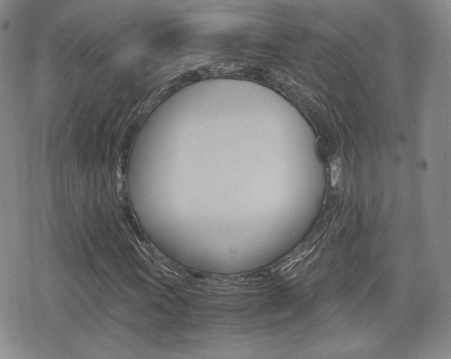 X0000076051011200609220904