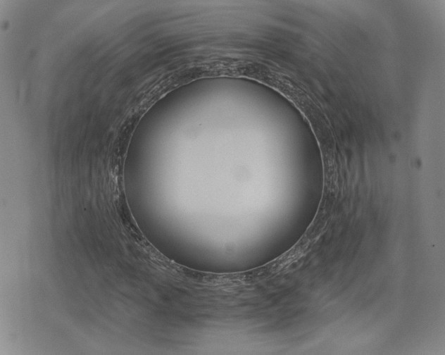 X0000076051013200609220904
