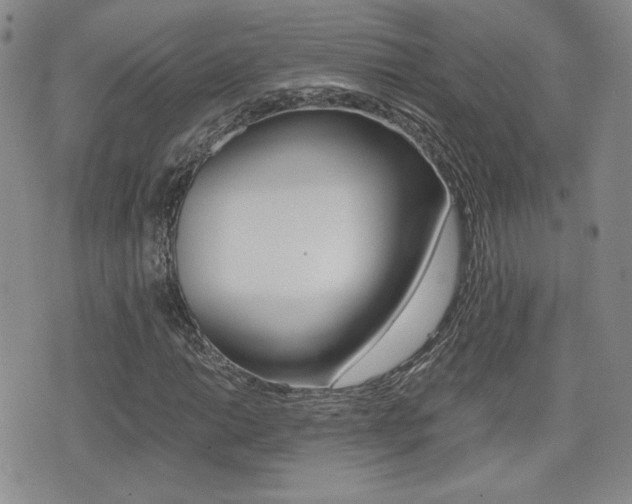 X0000076051014200609220904