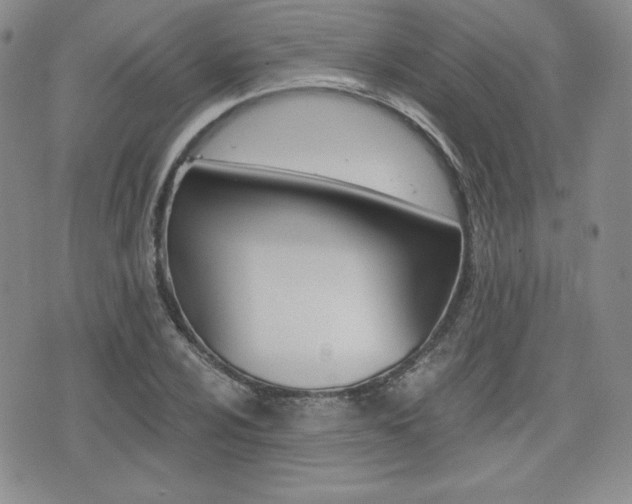 X0000076051024200609220904