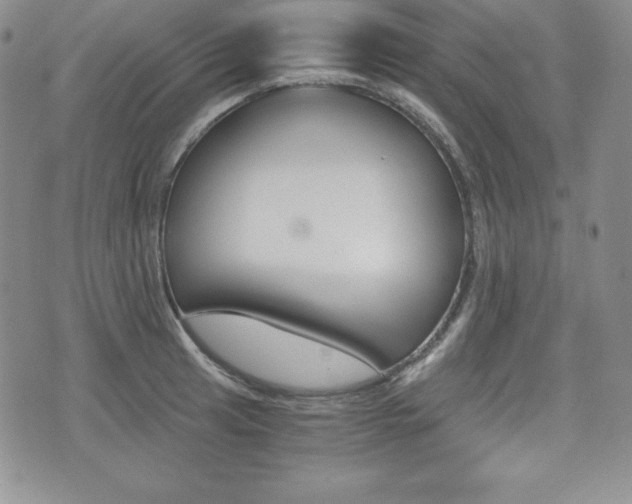 X0000076051041200609220904