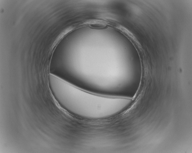 X0000076051049200609220905