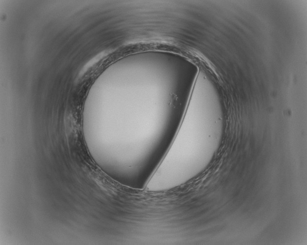 X0000076051064200609220904