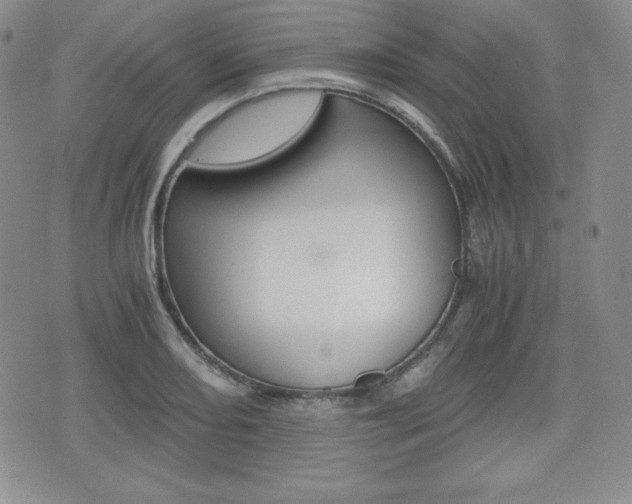 X0000076051082200609220904