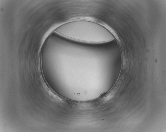 X0000076051102200609220903