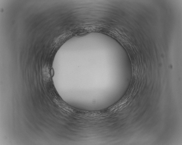 X0000076051106200609220902