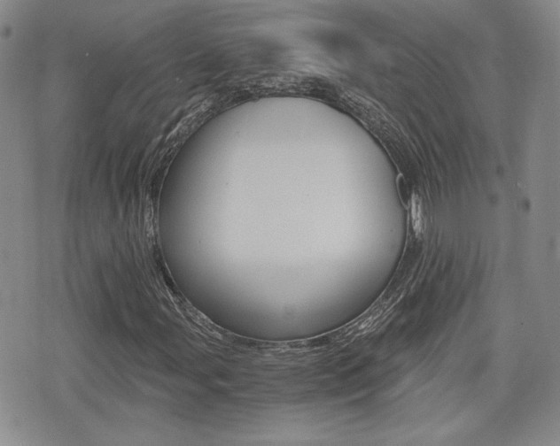 X0000076051107200609220902