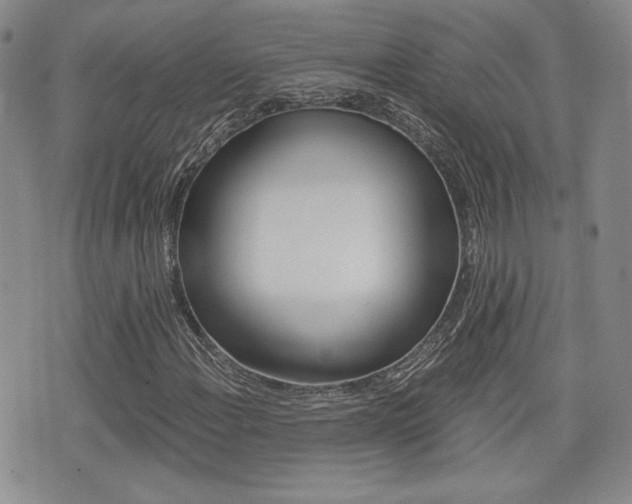X0000076051108200609220902