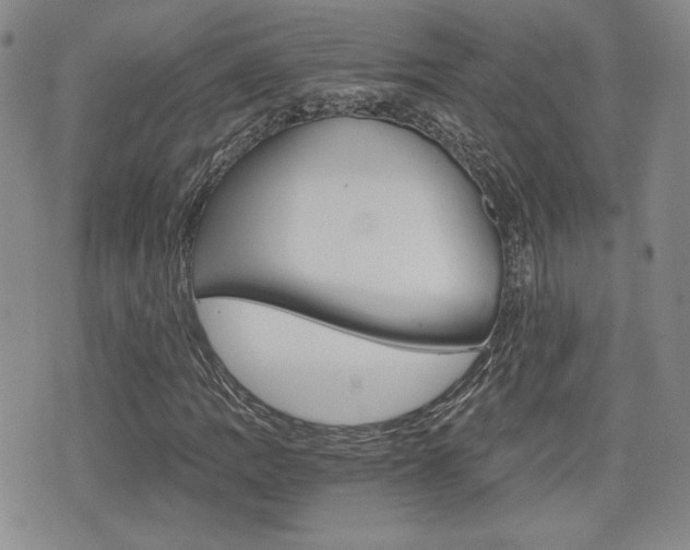 X0000076051109200609220902