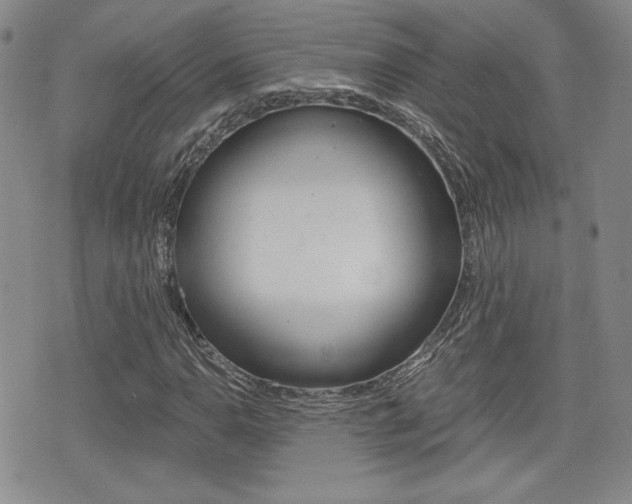 X0000076051110200609220902