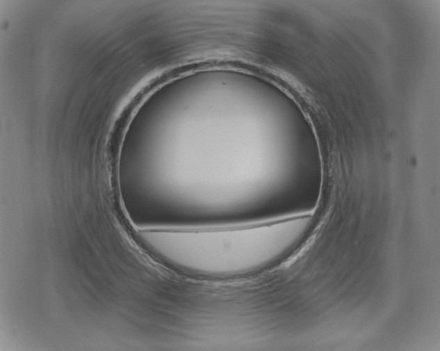 X0000076051118200609220903