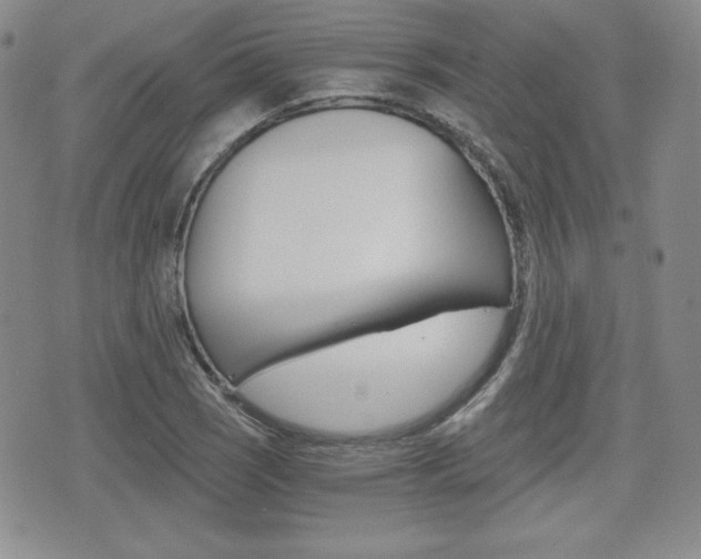 X0000076051121200609220903