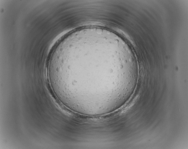 X0000076051125200609220903