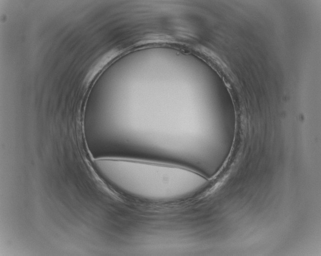 X0000076051129200609220903