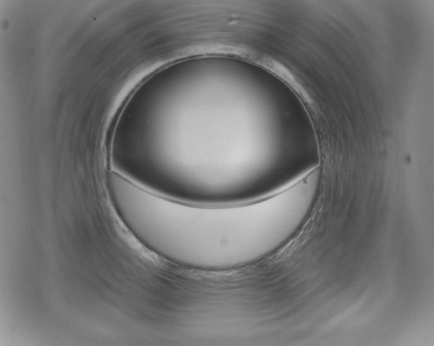 X0000076051140200609220903