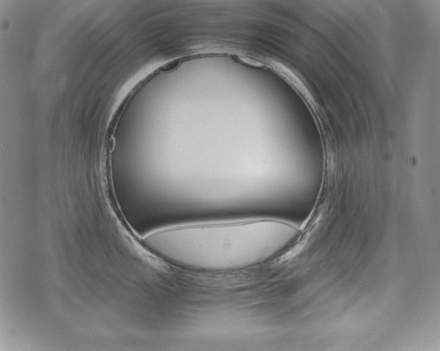X0000076051149200609220903
