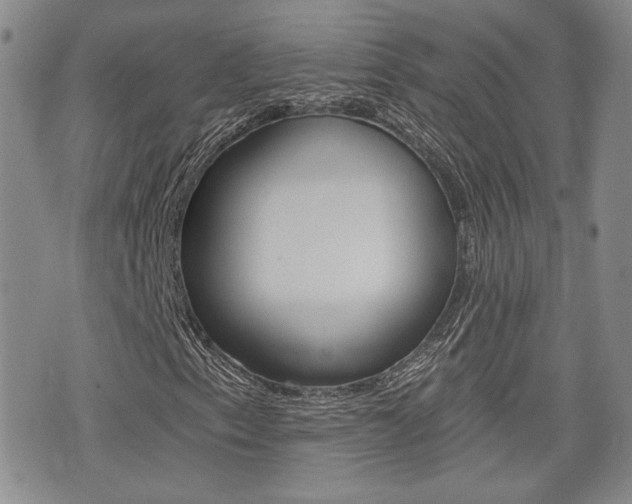 X0000076051153200609220902