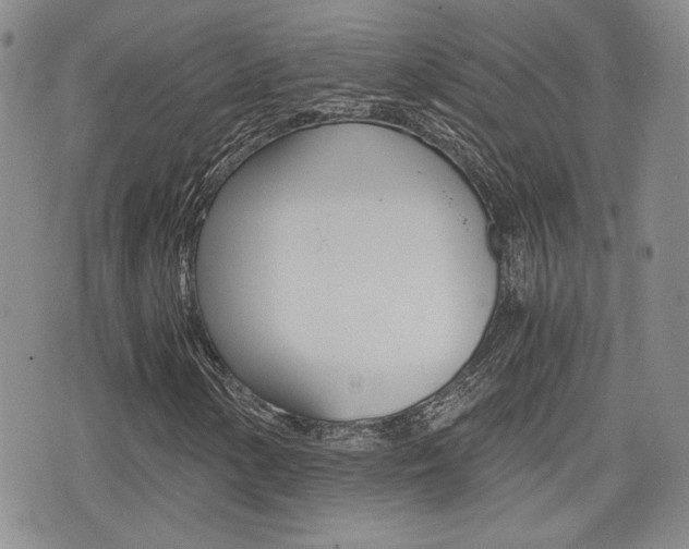 X0000076051154200609220902